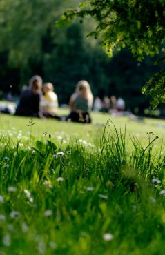 Park mit Personen, die auf dem Rasen sitzen